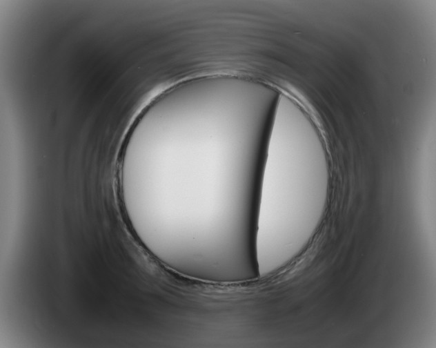 X0000085270899200703090913
