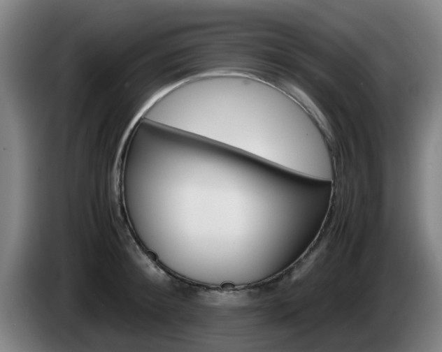 X0000085270900200703090913