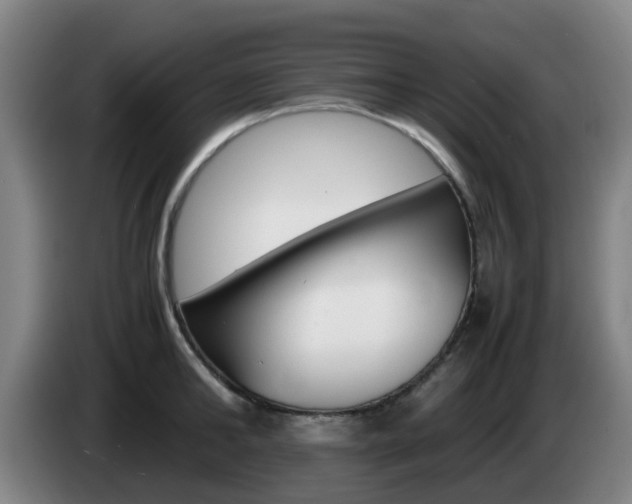 X0000085270902200703090913