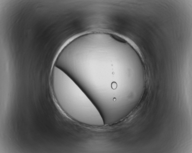 X0000085270911200703090913