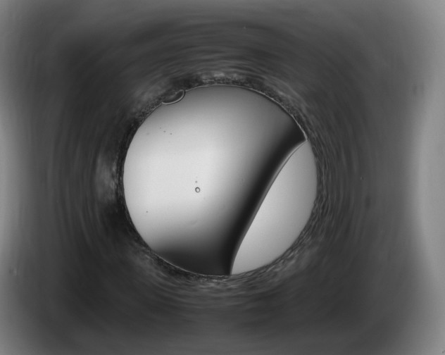 X0000085270915200703090912