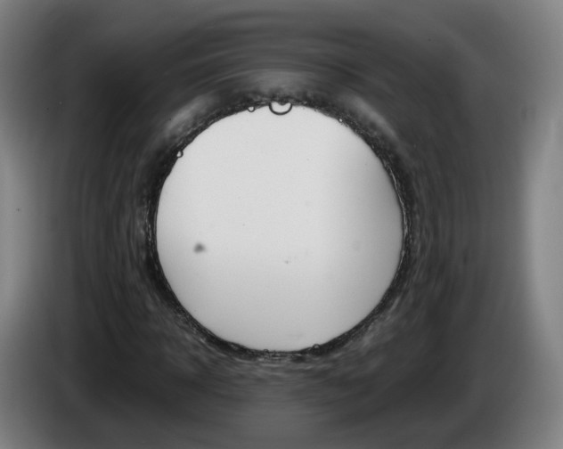 X0000085270918200703090912
