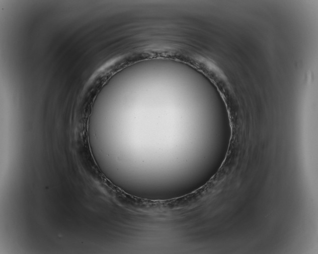 X0000085270920200703090912
