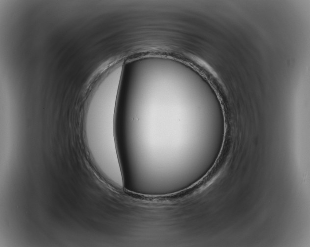 X0000085270922200703090912