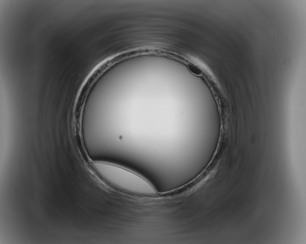 X0000085270924200703090912