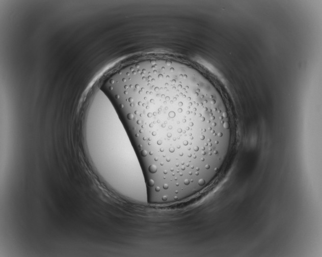 X0000085270925200703090912