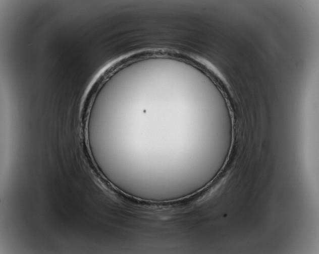 X0000085270927200703090912
