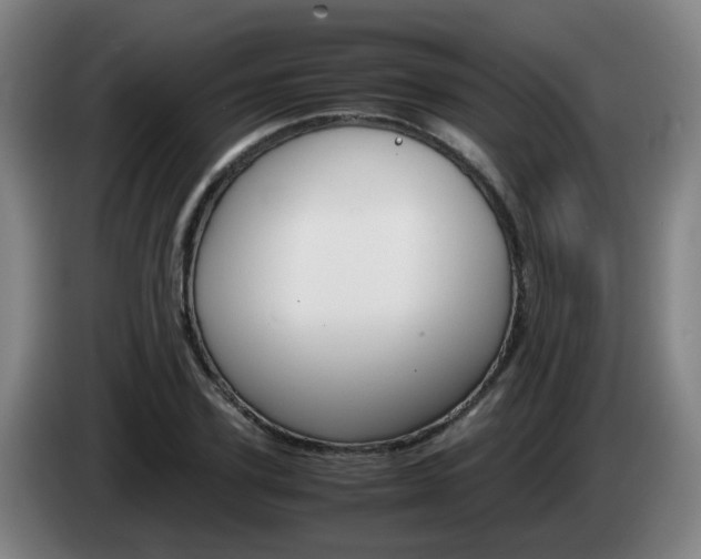 X0000085270931200703090912