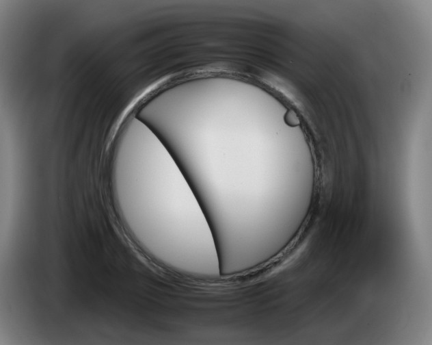X0000085270933200703090912
