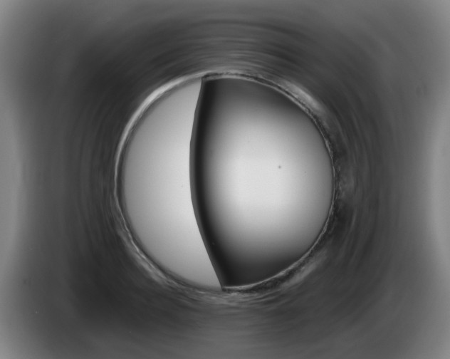 X0000085270940200703090912