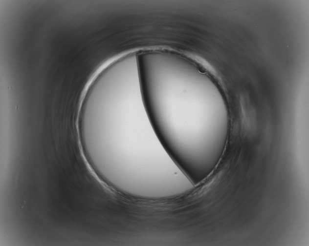 X0000085270943200703090913