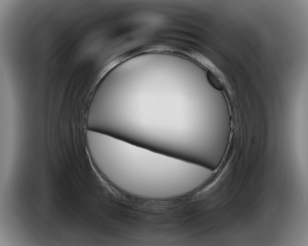 X0000085270945200703090913