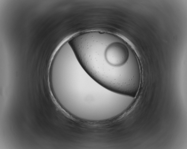X0000085270949200703090913