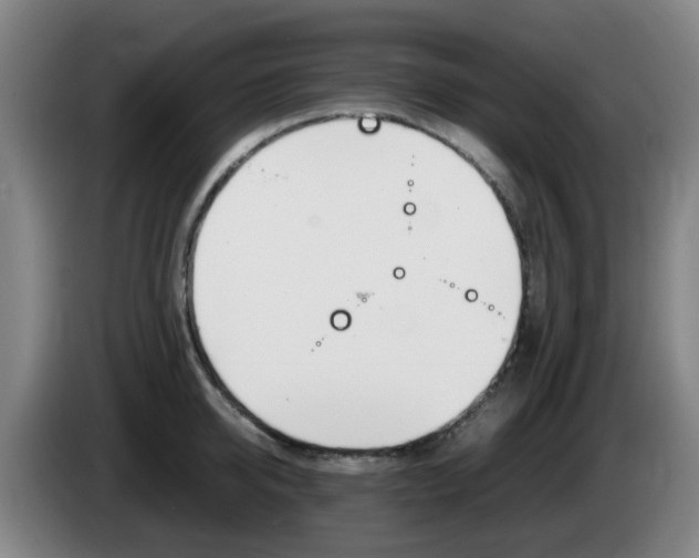 X0000085270950200703090913
