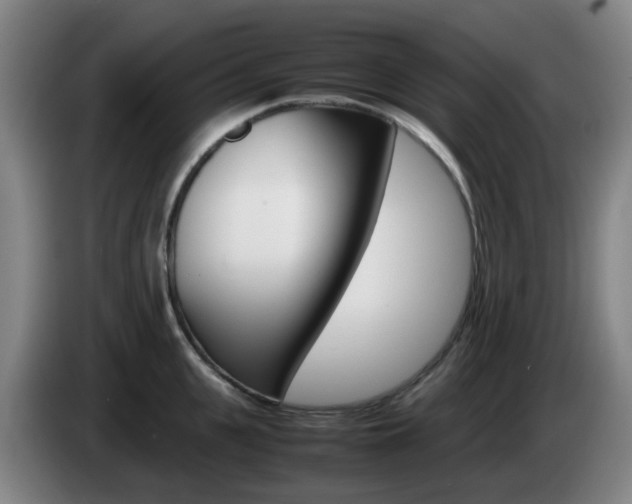 X0000085270951200703090913