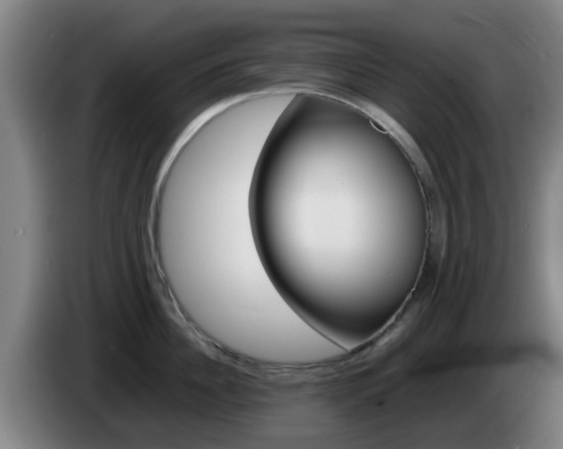 X0000085270956200703090913