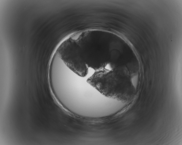 X0000085270957200703090913
