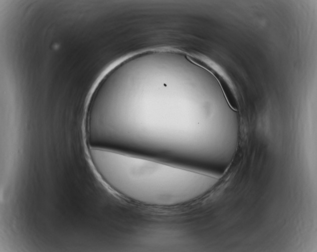 X0000085270959200703090913