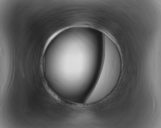 X0000085270960200703090913