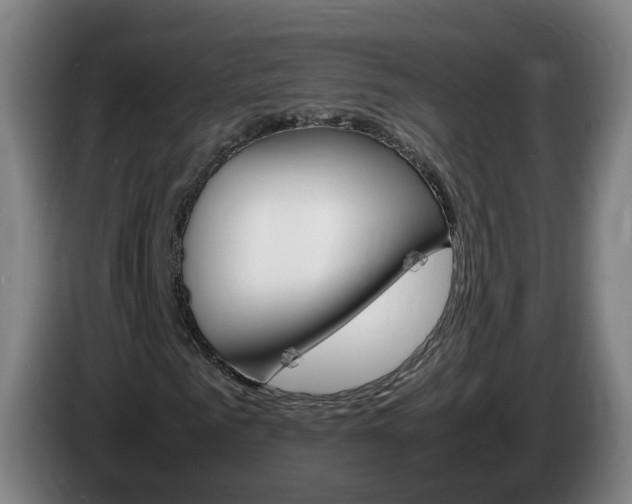X0000085270961200703090912