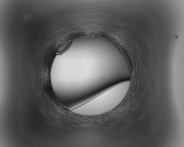 X0000085270963200703090912
