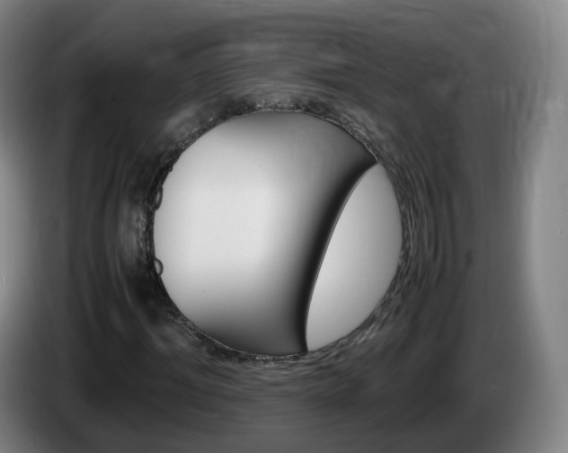 X0000085270964200703090912