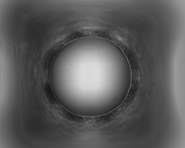 X0000085270965200703090912