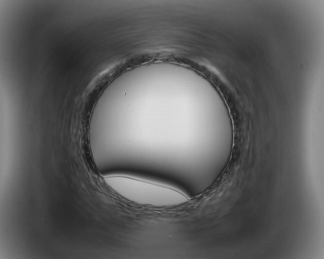 X0000085270967200703090912