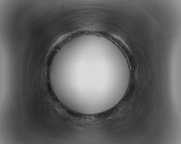 X0000085270968200703090912