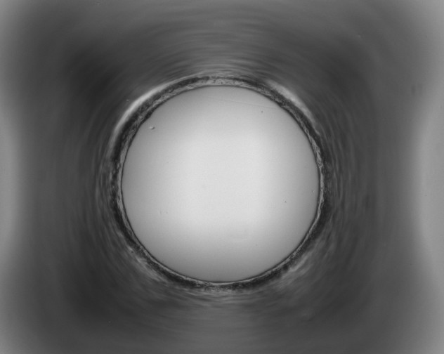 X0000085270971200703090912