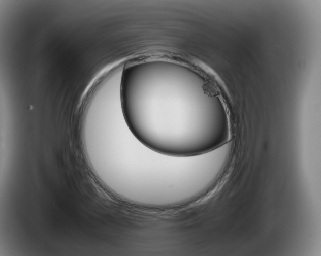 X0000085270973200703090912