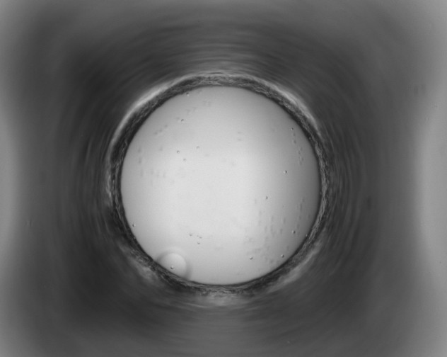 X0000085270974200703090912