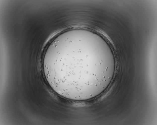 X0000085270978200703090912
