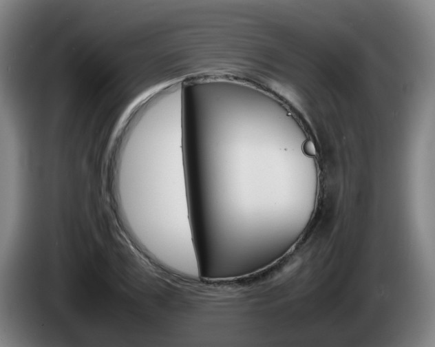 X0000085270979200703090912