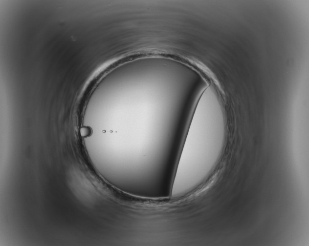 X0000085270981200703090912