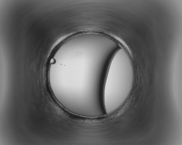 X0000085270983200703090912