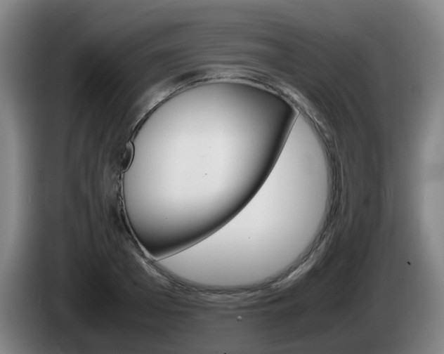 X0000085270985200703090912