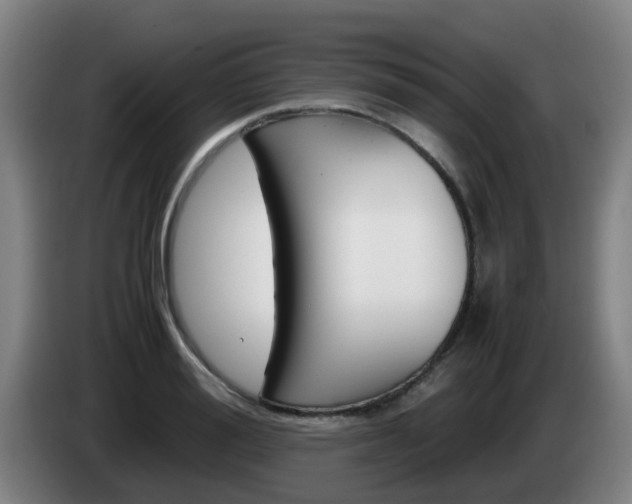 X0000085270988200703090912