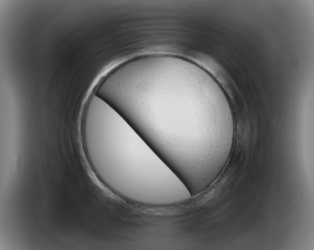 X0000085270998200703090912
