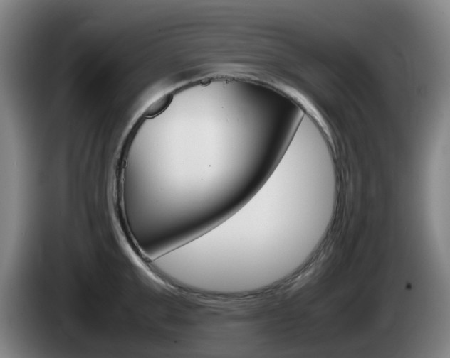 X0000085270999200703090912
