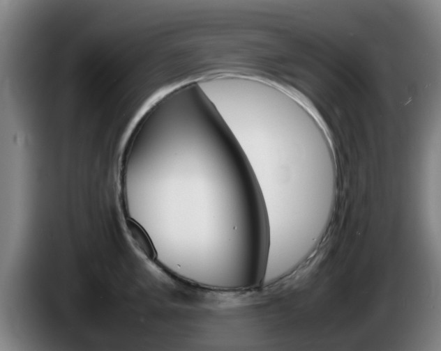 X0000085271005200703090912