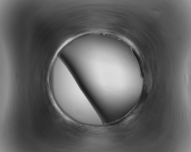 X0000085271007200703090912