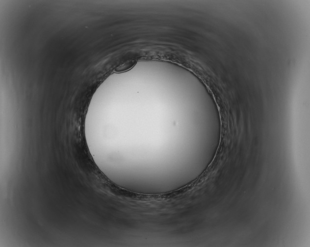 X0000085271013200703090911