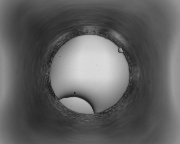 X0000085271015200703090911