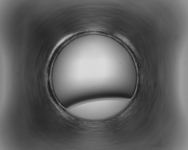 X0000085271024200703090911