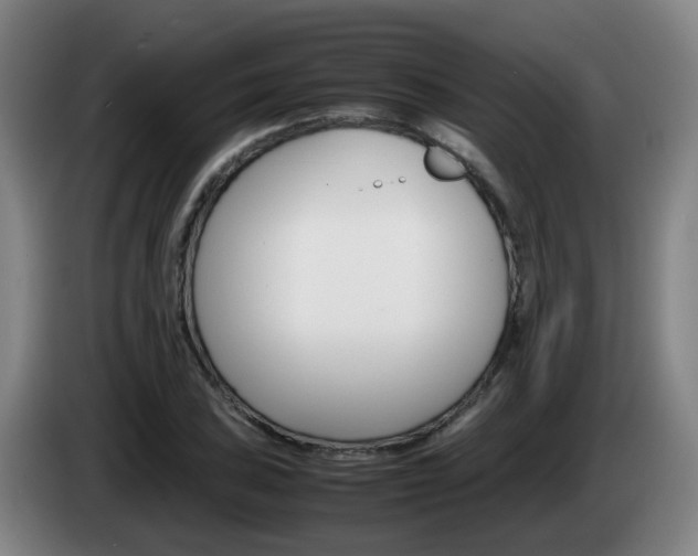 X0000085271027200703090911