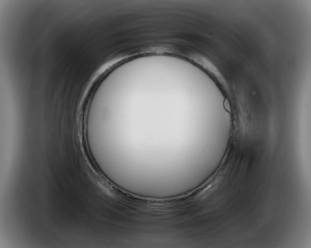 X0000085271035200703090911