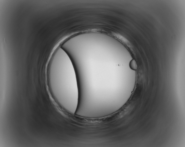 X0000085271039200703090911