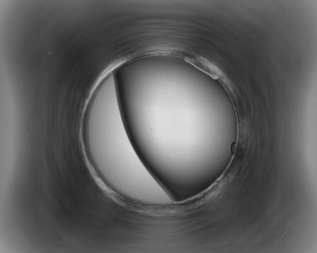 X0000085271042200703090911