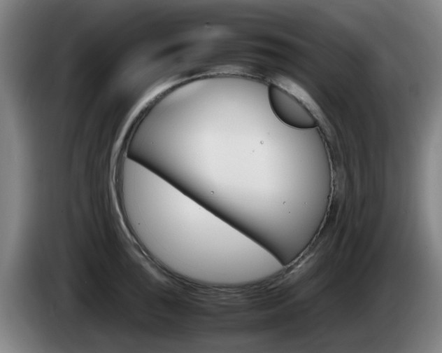 X0000085271043200703090911